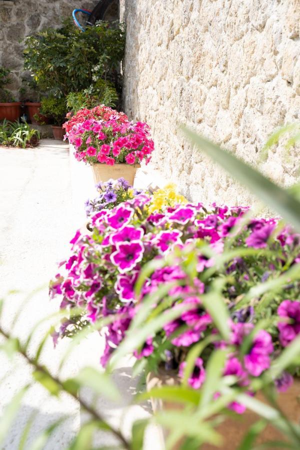 La Bella Vita - Luxury Holiday House Close To Corfu Town Potamós Eksteriør bilde